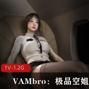 VAM精选空姐极致服务视频，头等舱级别享受，唯美狐媚三D