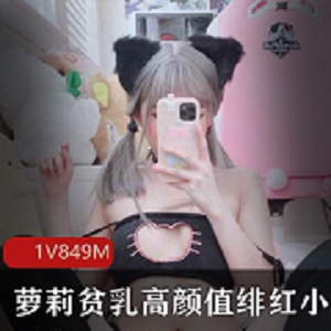 绯红小猫：高颜值美少女，诱惑腮红cos视频849M